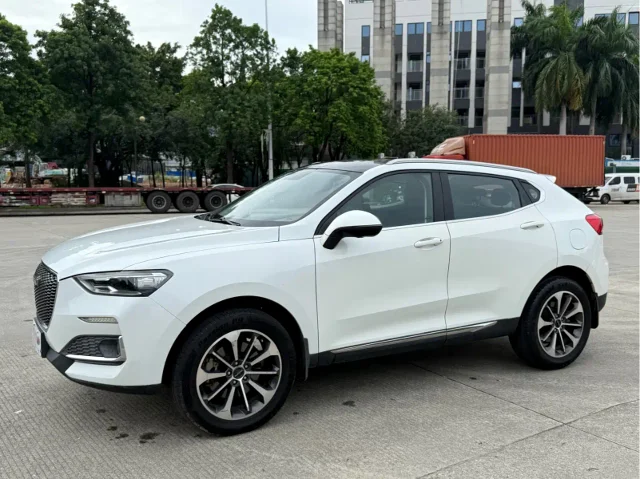 Haval F5 China Chic Edition 1.5T i Trend China VI