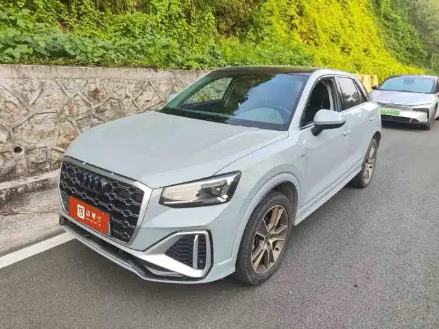 Audi Q2L 35 TFSI Fashion Dynamic Type