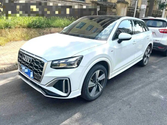 Audi Q2L 35 TFSI Luxury Dynamic Type