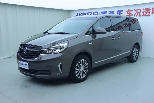 Buick GL8 Land Business Class 652T Luxury Type