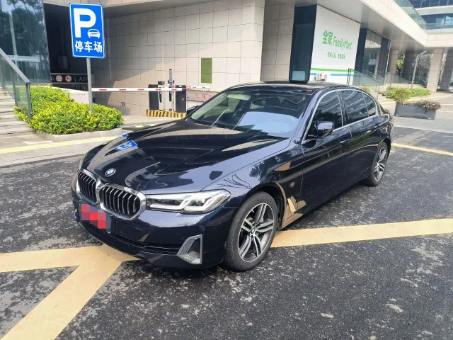 BMW 5 Series 530Li Leading Type Luxury Package
