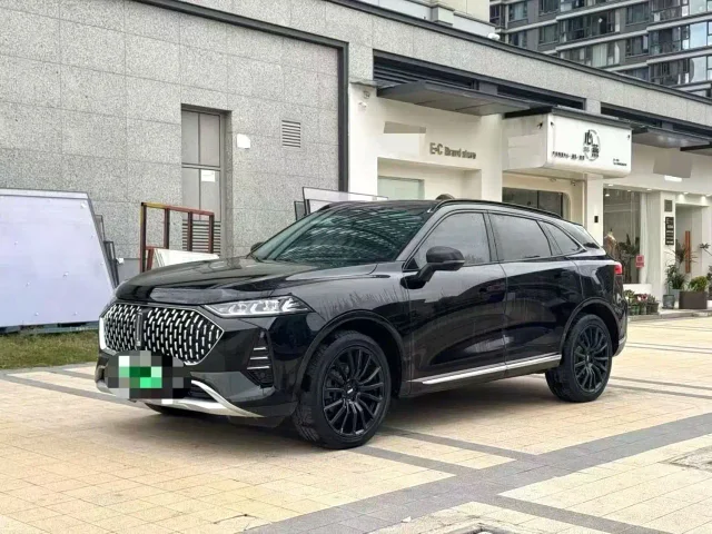 Wey Mocha New Energy 1.5T 0 Anxiety Performance Edition