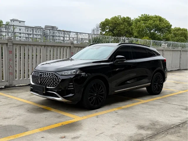 Wey Mocha New Energy 1.5T 0 Anxiety Performance Edition