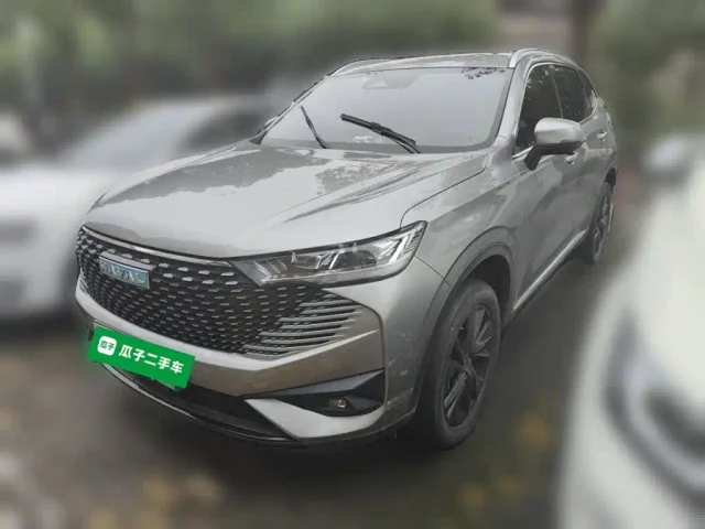 Haval H6 New Energy DHT-PHEV 110KM Joy Travel Edition