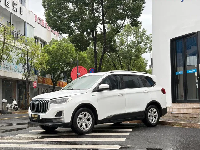 SWM G05 1.5T Auto Premium Type