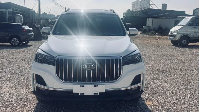 SWM G05 PRO 1.5T Auto Luxury Type 6 seats